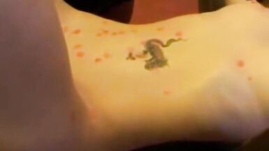 A Normal Life in Germany on Quarantine Period - 15 image