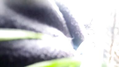 Stranger fucks TS Livaro - 1 image