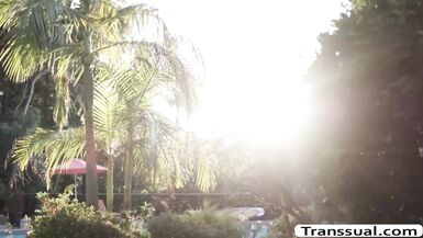 TS Khloe enjoys sucking dudes bigcock - 5 image