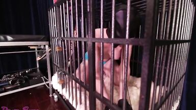 TS Sissy Bimbo Slave Doll Dress up - 1 image