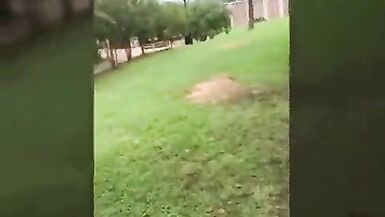 Tranny out in Public - 1 image