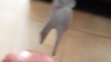 candice gets fucked doggy style, her lover cums on her but - 1 image