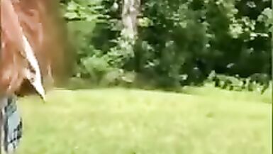 Pretty trannys masturbate outdoor - 1 image