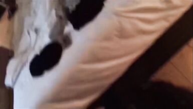 Asian Ladyboy Schoolgirl with Uniform getting Anal Fucked - 9 image