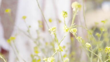 Aubrey Kate super hot shemale - 1 image