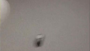 TS Finger Fucking herself and Dildo Play - 1 image