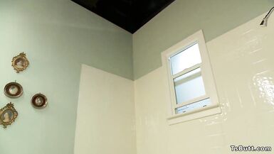 Blonde ts lady anal fucks her man doggy - 3 image