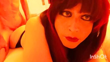 Tory Kitty Sucks and Gets Buttfucked - 11 image