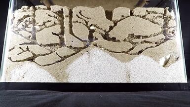 Ebony TS Goddess fucked on the stairs by lucky white guy - 2 image