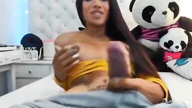 Amateur Shemales Cum Compilation - 13 image