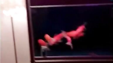 Asian Ladyboy Dominatrix with a Dubmissive Faggot Fisted and Denigrated - 3 image