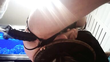 shemale anal - 15 image