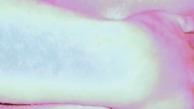 My Mechanic Wanted to see how Good it was - 13 image