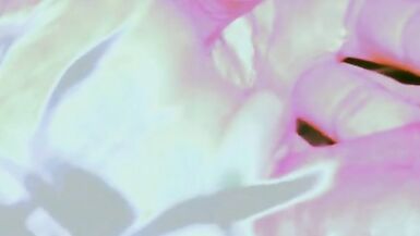 My Mechanic Wanted to see how Good it was - 15 image